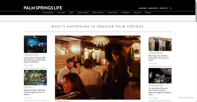 Security scan screenshot of https://www.palmspringslife.com