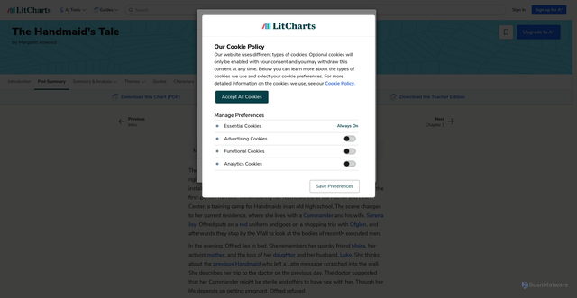 Security scan screenshot of https://www.litcharts.com/lit/the-handmaid-s-tale/summary
