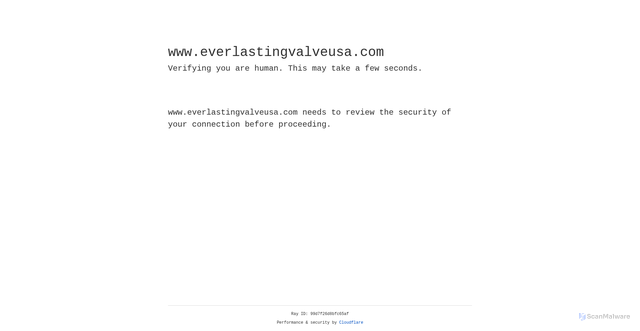 Security scan screenshot of https://www.everlastingvalveusa.com/