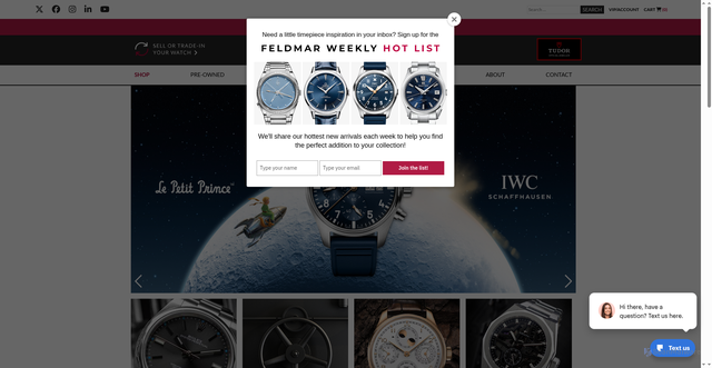 Security scan screenshot of https://feldmarwatch.com