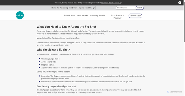Security scan screenshot of https://wellcare.superiorhealthplan.com/member-resources/member-rights/health-and-wellness/wellness-connection/what-you-need-to-know-about-flu-shot.html
