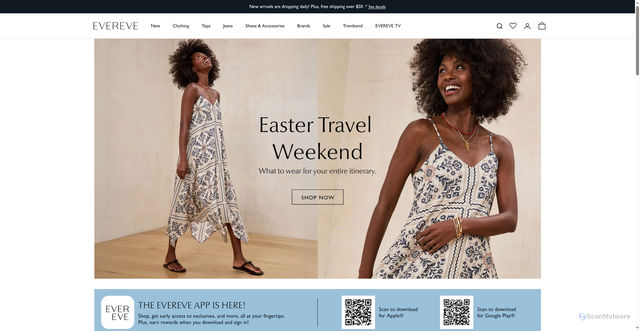 Security scan screenshot of https://evereve.com