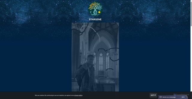 Security scan screenshot of https://stargene.se
