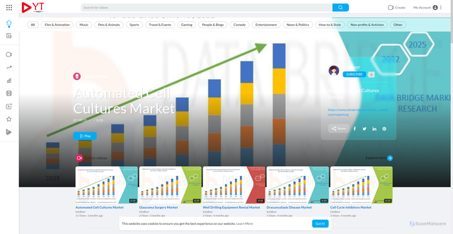 Security scan screenshot of https://video.yt/