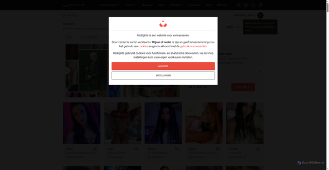 Security scan screenshot of https://red-lights.info/index.php