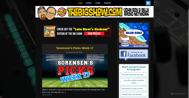 Security scan screenshot of https://thebigshow.com/