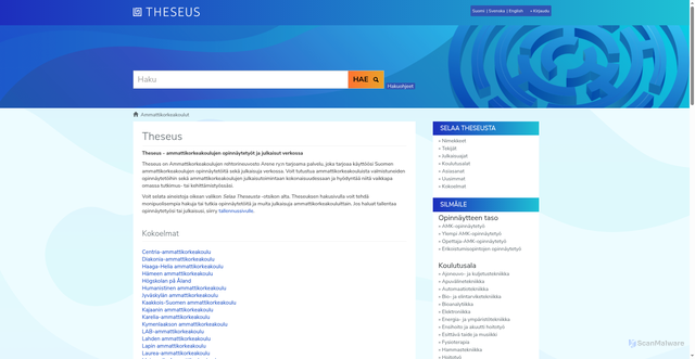 Security scan screenshot of https://www.theseus.fi