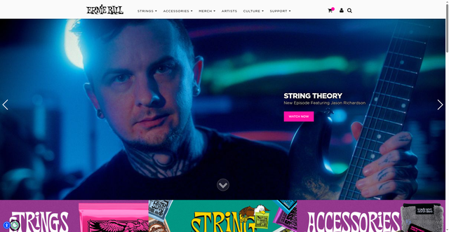 Security scan screenshot of https://www.ernieball.com