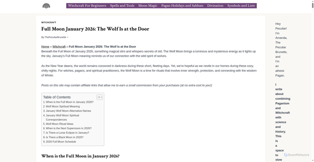 Security scan screenshot of https://www.thepeculiarbrunette.com/january-wolf-moon/