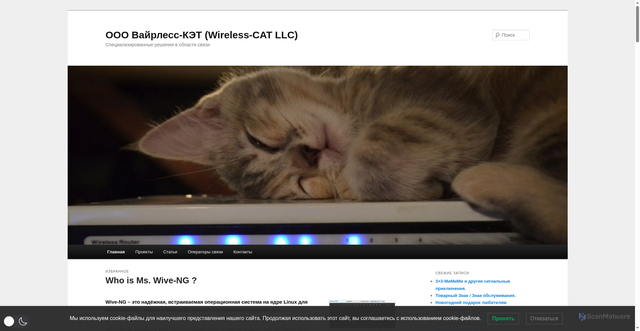 Security scan screenshot of https://wi-cat.ru
