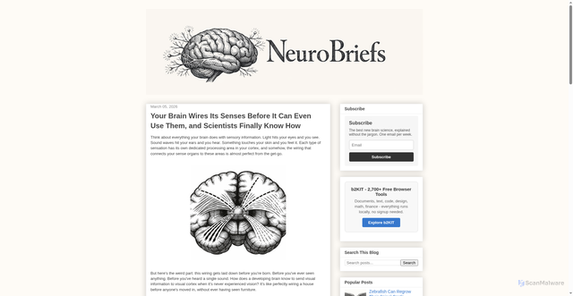 Security scan screenshot of https://neurobriefs.pages.dev/2026/03/your-brain-wires-its-senses-before-it-can-even-use