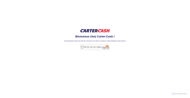 Security scan screenshot of https://carter-cash.com