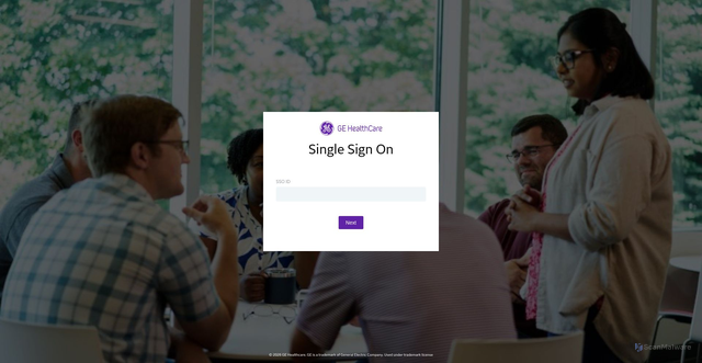 Security scan screenshot of https://sims.cloud.gehealthcare.com