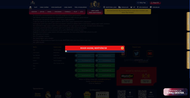 Security scan screenshot of https://metitking2007.com/scorerules
