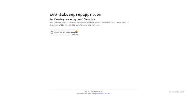 Security scan screenshot of https://www.lakecopropappr.com