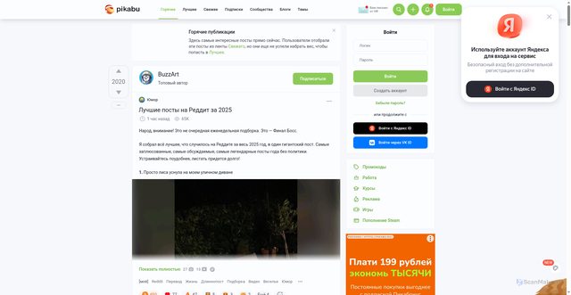 Security scan screenshot of https://cs13.pikabu.ru