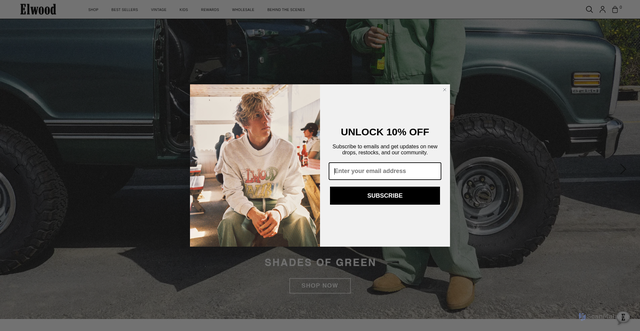 Security scan screenshot of https://elwoodclothing.com