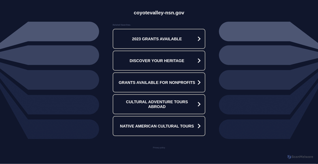 Security scan screenshot of http://coyotevalley-nsn.gov/