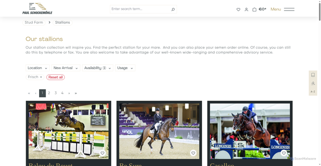 Security scan screenshot of https://shop.schockemoehle.com/en/Stud-Farm/Stallions/