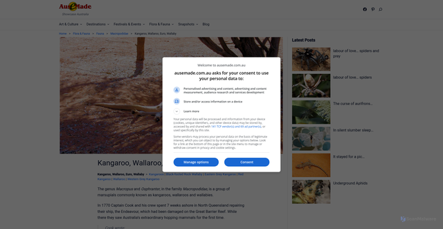 Security scan screenshot of https://ausemade.com.au/flora-fauna/fauna/macropodidae/kangaroo-wallaroo-euro-wallaby/