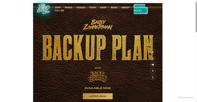 Security scan screenshot of https://www.baileyzimmermanmusic.com/backupplan