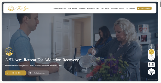 Security scan screenshot of https://theridgeohio.com/