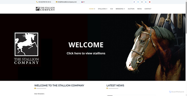 Security scan screenshot of https://www.thestallioncompany.com/