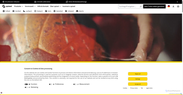 Security scan screenshot of https://spized.com