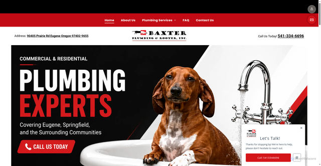 Security scan screenshot of https://baxterplumbingor.com/
