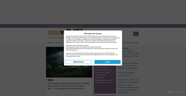Security scan screenshot of https://discoverwildlife.com