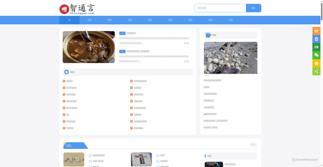 Security scan screenshot of https://zhitongyan.com