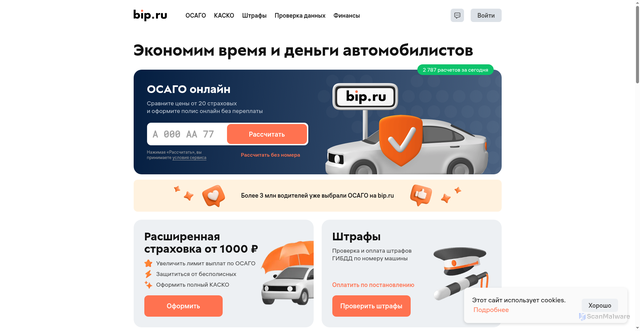 Security scan screenshot of https://bip.ru