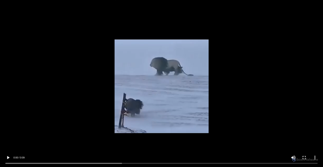 Security scan screenshot of https://video-link-share-a5cb72zzep.edgeone.app/