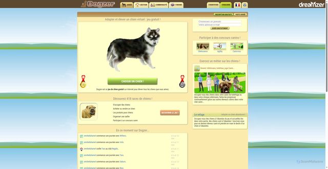 Security scan screenshot of https://dogzer.com