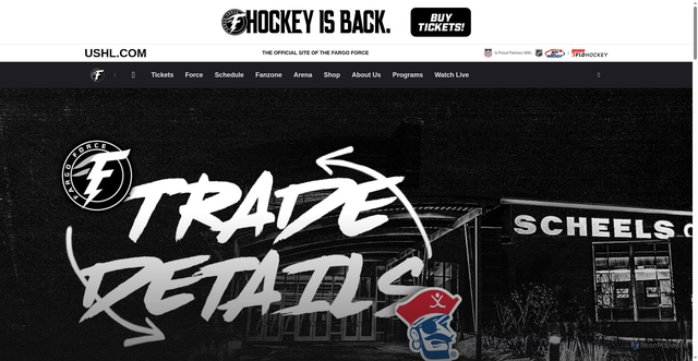 Security scan screenshot of https://fargoforce.com/