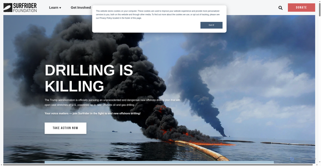 Security scan screenshot of https://surfrider.org