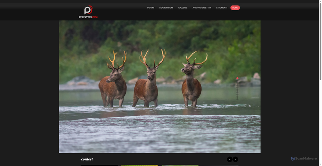 Security scan screenshot of https://pentaxiani.it