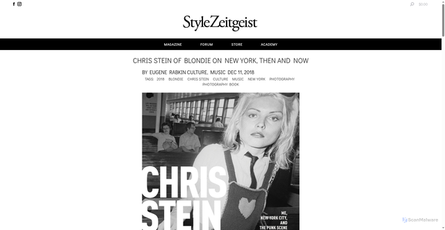 Security scan screenshot of https://www.stylezeitgeist.com/chris-stein-of-blondie-on-new-york-then-and-now/