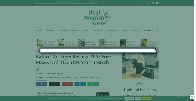 Security scan screenshot of https://healnourishgrow.com/kalorik-air-fryer-review-maxx-grill/