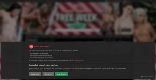 Security scan screenshot of https://www.ashemaletube.com