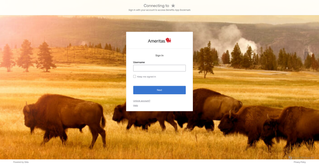 Security scan screenshot of https://group-auth.ameritas.com