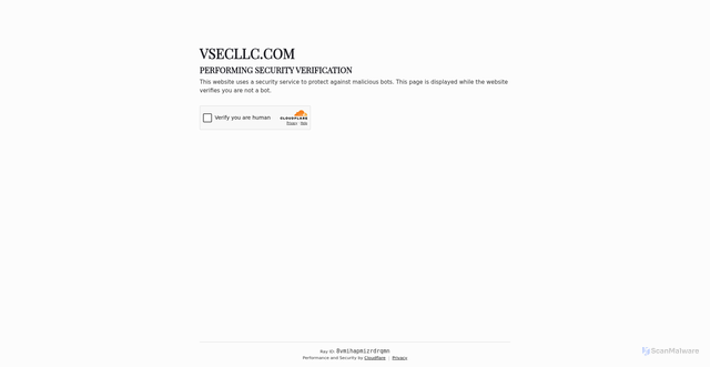 Security scan screenshot of https://vsecllc.com/