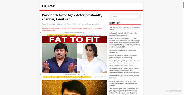 Security scan screenshot of https://rayusil.pages.dev/posts/prashanth-actor-age/