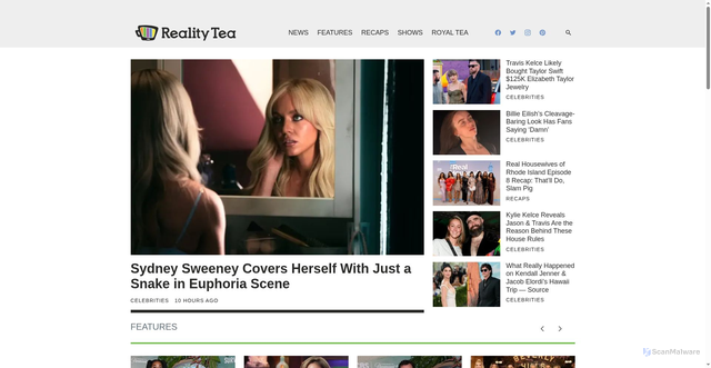 Security scan screenshot of https://realitytea.com