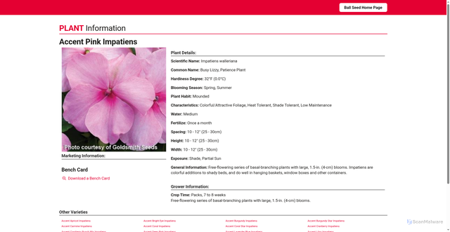 Security scan screenshot of https://www.ballseed.com/PlantInfo/?phid=034700003004054