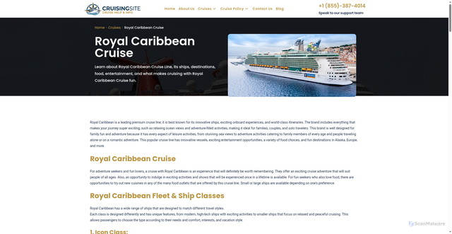 Security scan screenshot of https://www.cruisingsite.com/cruises/royal-caribbean-cruise/