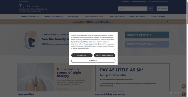 Security scan screenshot of https://trelegy.com