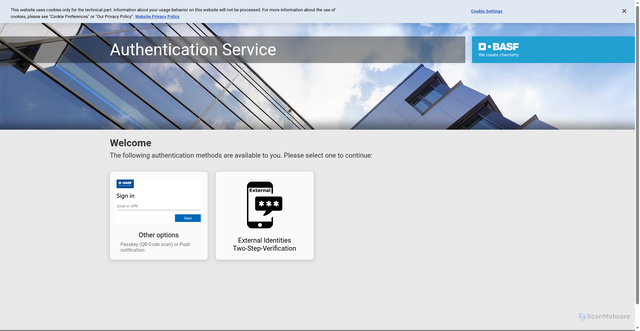Security scan screenshot of https://supplier-invoice-portal.basf.com