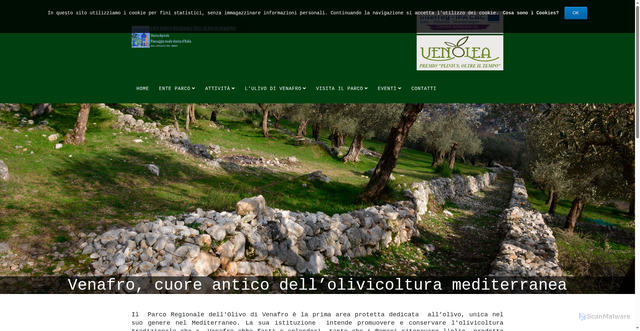Security scan screenshot of https://www.parcodellolivodivenafro.eu/