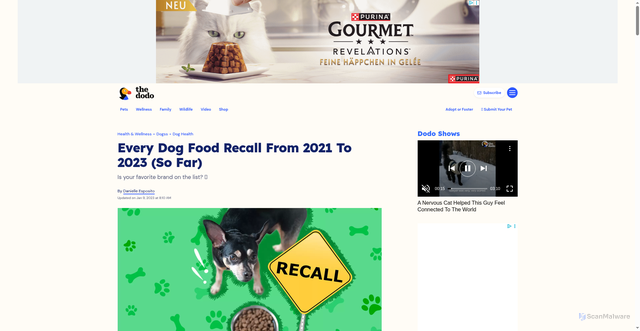 Security scan screenshot of https://www.thedodo.com/dodowell/dog-food-recall